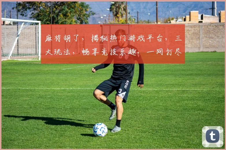 麻将胡了，揭秘热门游戏平台，三大玩法，畅享竞技乐趣，一网打尽