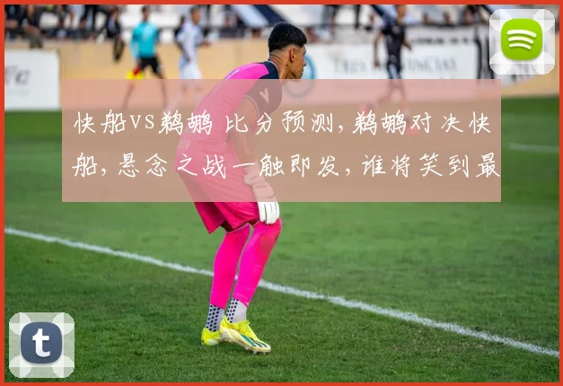 快船vs鹈鹕 比分预测,鹈鹕对决快船,悬念之战一触即发,谁将笑到最后